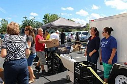 Lunar marketing team