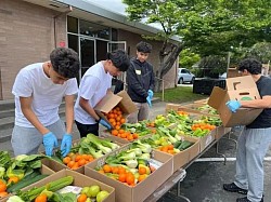 Lunar youth marketing team